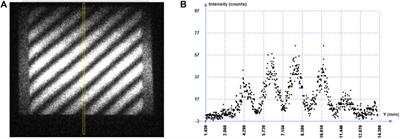 Time and Space Resolved First Order Optical Interference Between Distinguishable Photon Paths